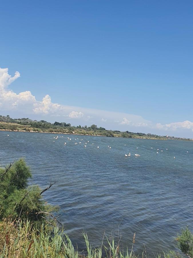 Vacances En Camargue Le Grau-du-Roi Bagian luar foto